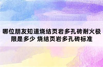 哪位朋友知道烧结页岩多孔砖耐火极限是多少 烧结页岩多孔砖标准